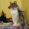 Отзыв от Дина Боброва